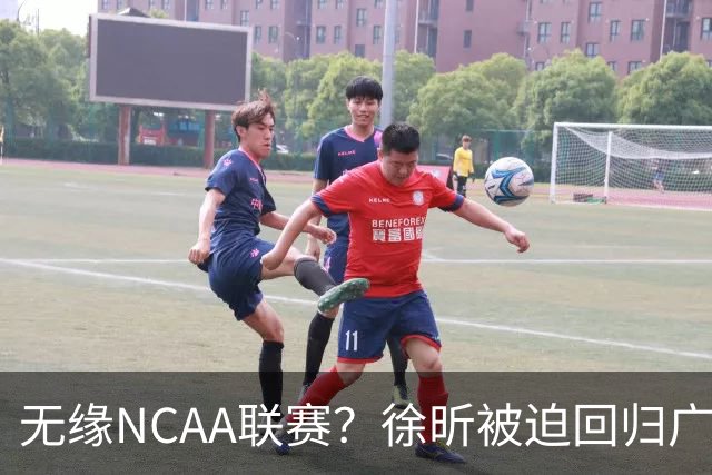 无缘NCAA联赛？徐昕被迫回归广东男篮，这可是宏远夺冠的底牌